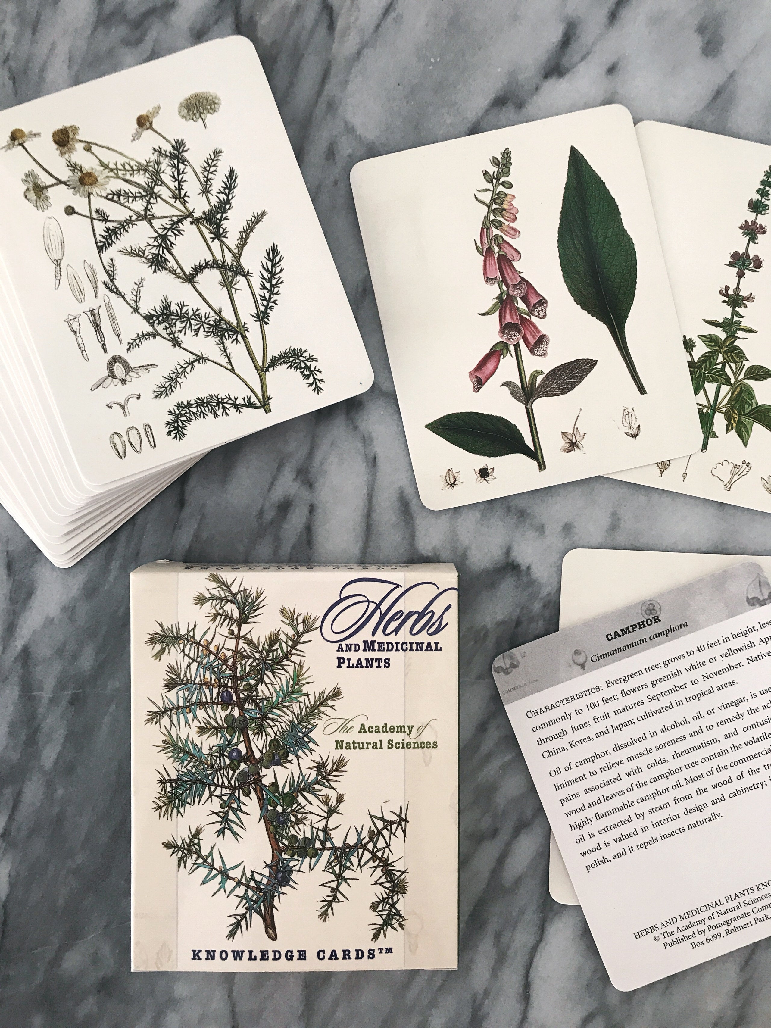 Herbs and Medicinal Plants Knowledge Cards Sacred Connections
